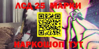 гидропоника Кингисепп