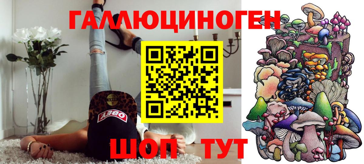 Корсаков  Псилоцибиновые грибы Cubensis  Вход с VPN  Галлюциногенные грибы мухоморы 